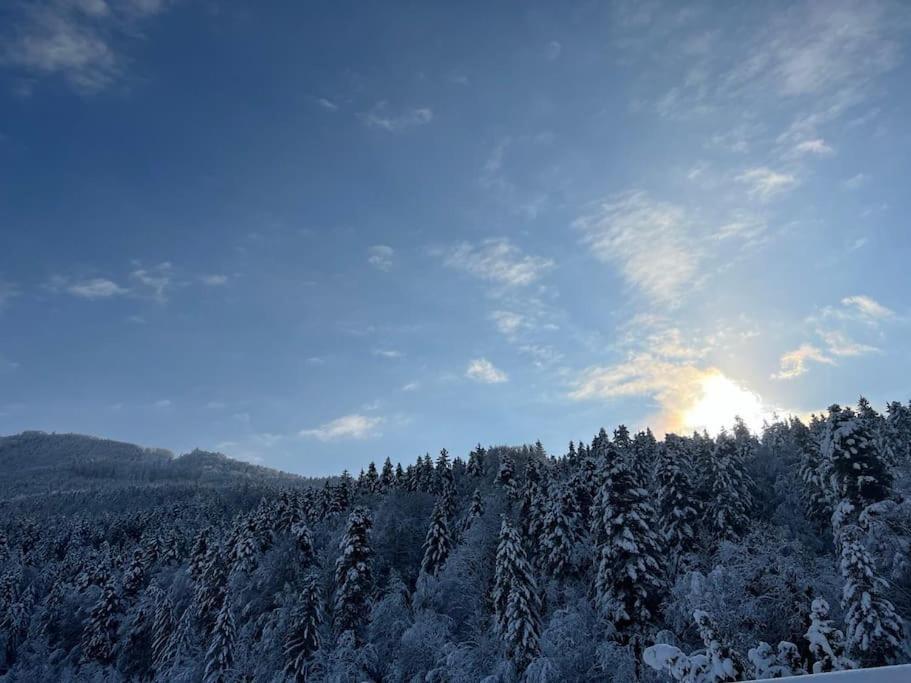 Tanjas Gemuetliches Haus Am Mondsee Innerschwand Exteriör bild